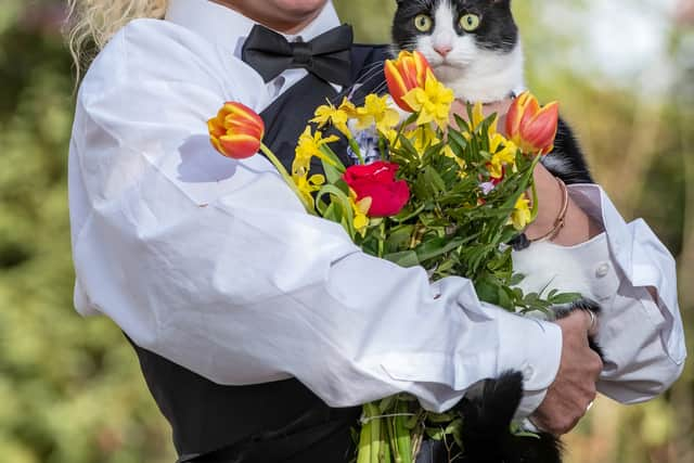 Deborah Hodge with her precious cat Indi. Credit: James Linsell-Clark / SWNS