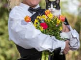 Deborah Hodge with her precious cat Indi. Credit: James Linsell-Clark / SWNS