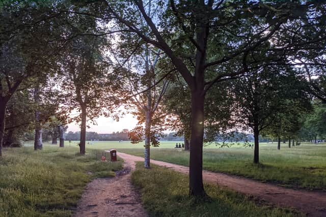 Tooting Common