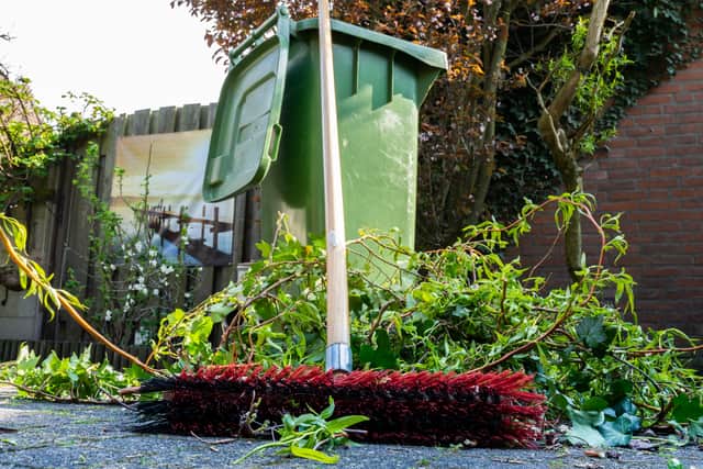 A green wheelie bin with some garden waste