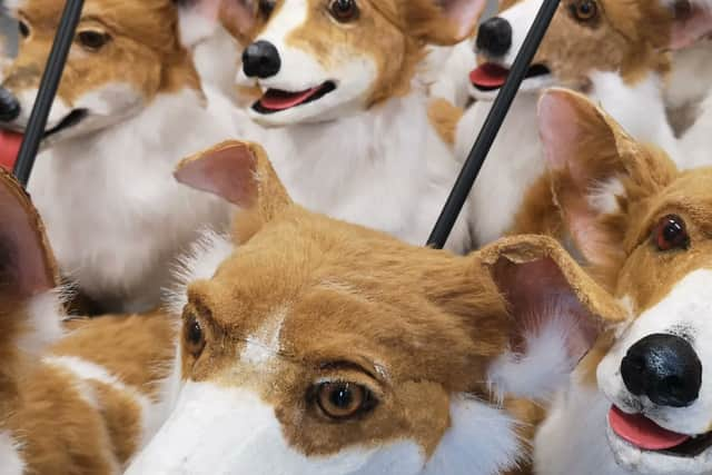 Corgi puppets