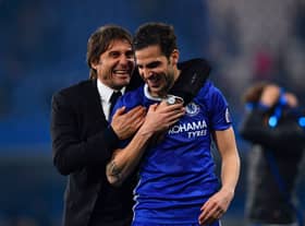 Cesc Fabregas says Antonio Conte could walk away from Spurs if he doesn’t achieve his goals. Credit: BEN STANSALL/AFP via Getty Images