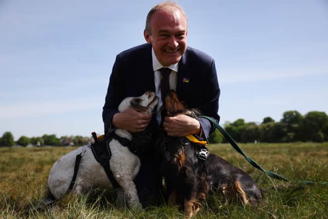Ed Davey with Simon McGrath’s cocker spaniels Cora and Nellie. Photo: Getty