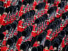 Trooping the Colour 2022: when is it, what time is it, are tickets available and what is the dress code?