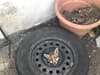 RSPCA issues warning after four London fox cubs get heads stuck in old car wheels