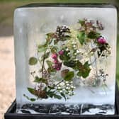 Flowers are pictured pictured encapsulated in a block of ice as part of the ‘Plantman’s Ice Garden at the Sanctuary Garden at the 2022 RHS Chelsea Flower Show in London. (Photo: Getty)