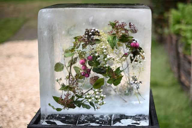 Flowers are pictured pictured encapsulated in a block of ice as part of the ‘Plantman’s Ice Garden at the Sanctuary Garden at the 2022 RHS Chelsea Flower Show in London. (Photo: Getty)