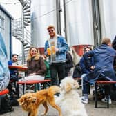 People and pooches enjoying the Blackhorse Beer Mile. Credit: Luis Kramer