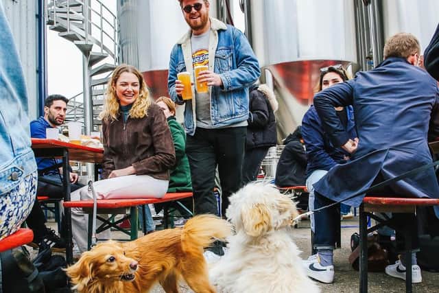 People and pooches enjoying the Blackhorse Beer Mile. Credit: Luis Kramer