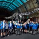 Dippy the dinosaur has returned to the Natural History Museum. Photo: NHM