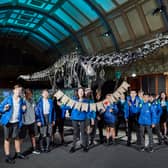 Dippy the dinosaur has returned to the Natural History Museum. Photo: NHM