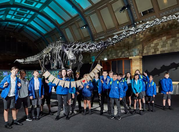 <p>Dippy the dinosaur has returned to the Natural History Museum. Photo: NHM</p>