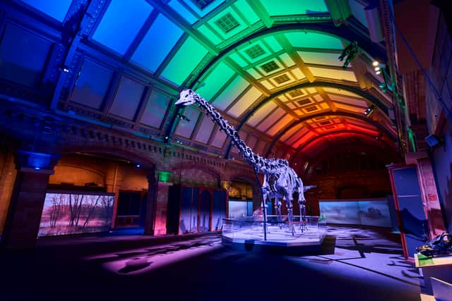 Dippy is back at the museum from Friday, May 27. Photo: NHM