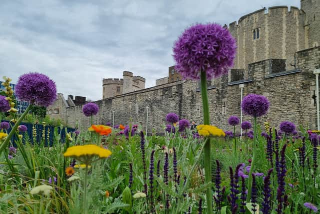Gardeners have planted a range of blooms in the moat. Photo: LondonWorld