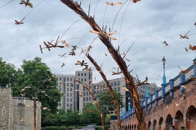 Metal insect sculptures in the Superbloom. Photo: LondonWorld