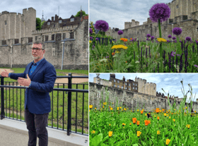Tower of London public engagement director Tom O’Leary, at the Superbloom installation. Photo: LondonWorld