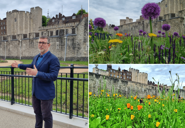 <p>Tower of London public engagement director Tom O’Leary, at the Superbloom installation. Photo: LondonWorld</p>