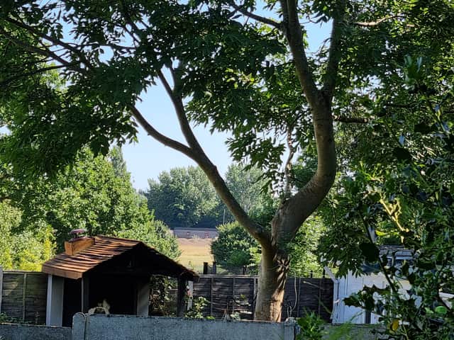 A view into Belvue Park. Photo: LW