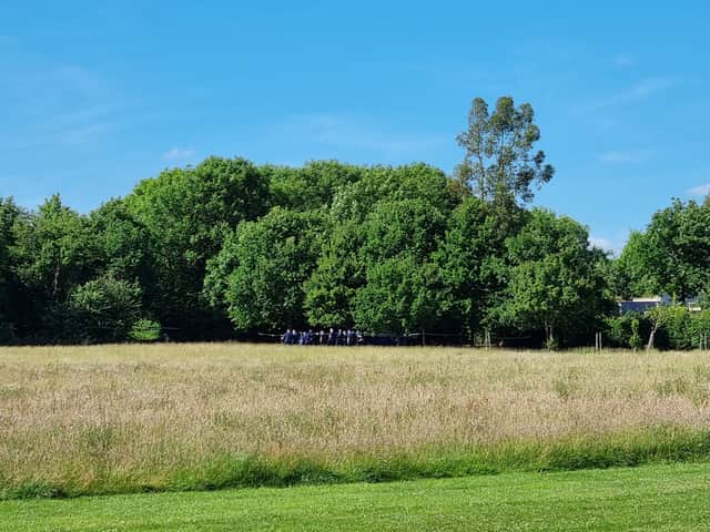 Police searching a wooded area of the park. Photo: LW