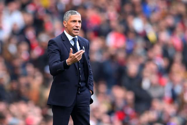 Chris Hughton Manager of Brighton and Hove Albion. Credit: Catherine Ivill/Getty Images