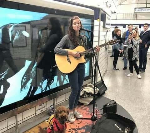 Zoe Wren busking with a pooch. Credit: Zoe Wren