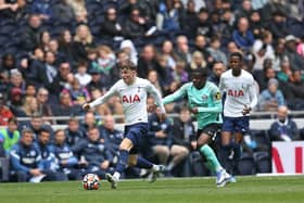 Tottenham Hotspur midfielder Alfie Devine  