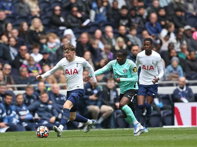 Tottenham Hotspur midfielder Alfie Devine  