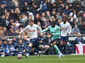 Tottenham Hotspur midfielder Alfie Devine  