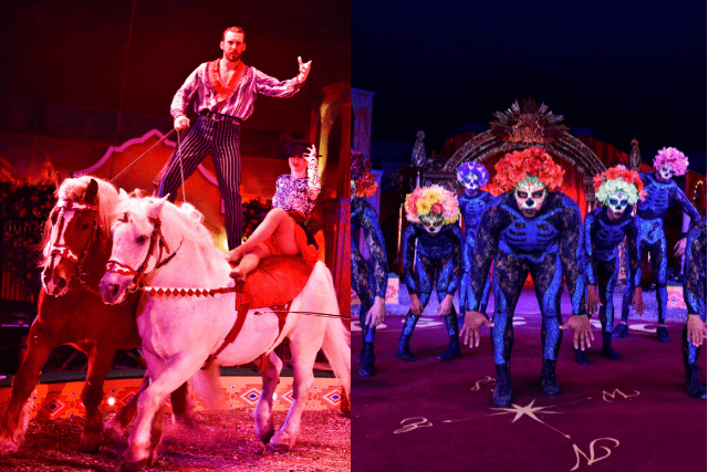 The show features stunning acrobatics and dazzling horseback stunts. Photos: Andy Payne