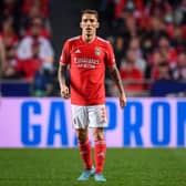 Arsenal are said to have bid for Grimaldo