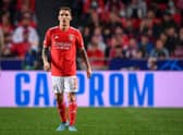 Arsenal are said to have bid for Grimaldo