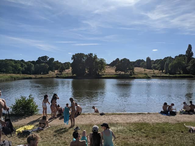 Londoners enjoying a dip in one of Hampstead Heath’s swimming ponds