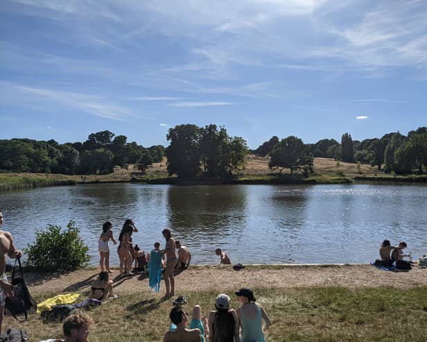 Londoners enjoying a dip in one of Hampstead Heath’s swimming ponds