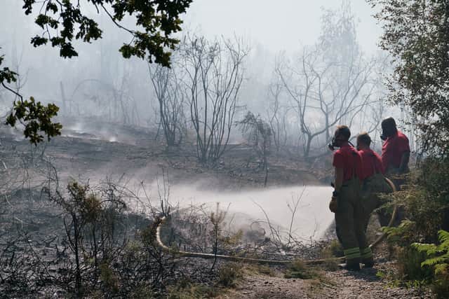 Dozens of firefighters are battling two blazes in the Shirley Hills woodland in Croydon. Photo: Peter Trimming