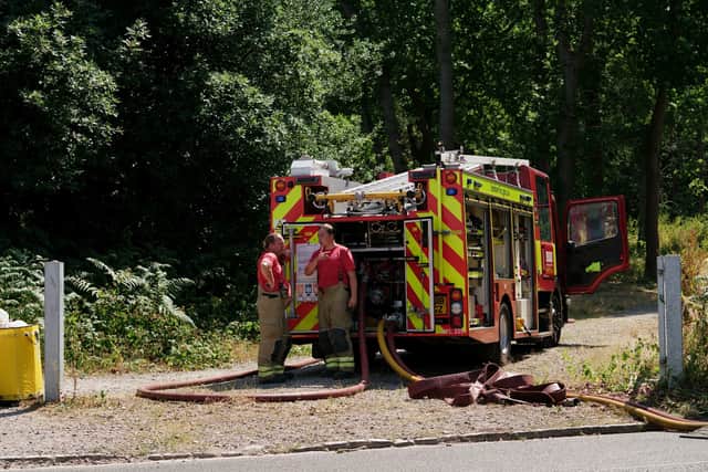 Two grass fires have broken out in the forested area. Photo: Peter Trimming