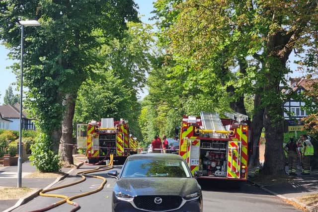 While a fallen tree is also affecting power lines along the route to London Euston. Photo: Matthew Goodwin-Freeman