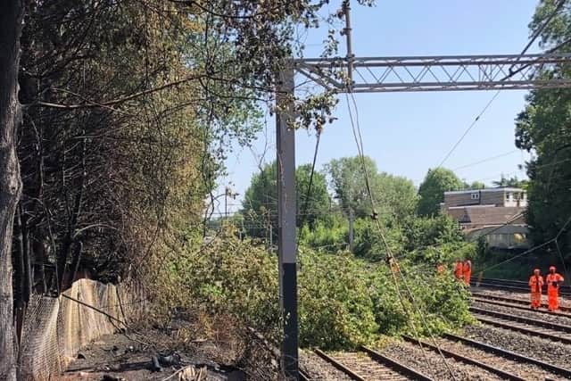 Network Rail engineers working to remove the tree blocking the lines to London Euston. Credit: Network Rail