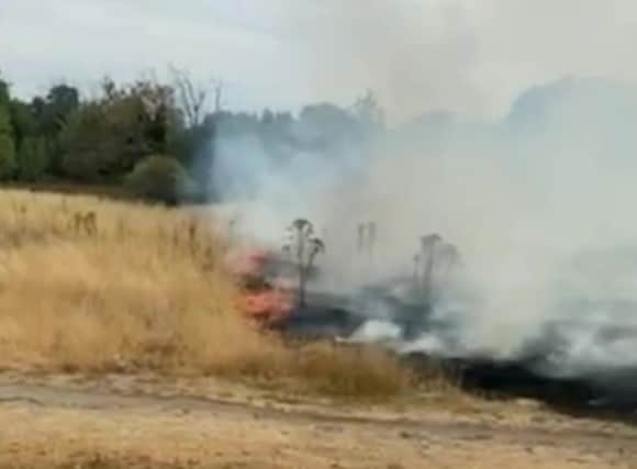 Video grab of  grass fire in Wanstead Flats, Newham. Credit: SWNS