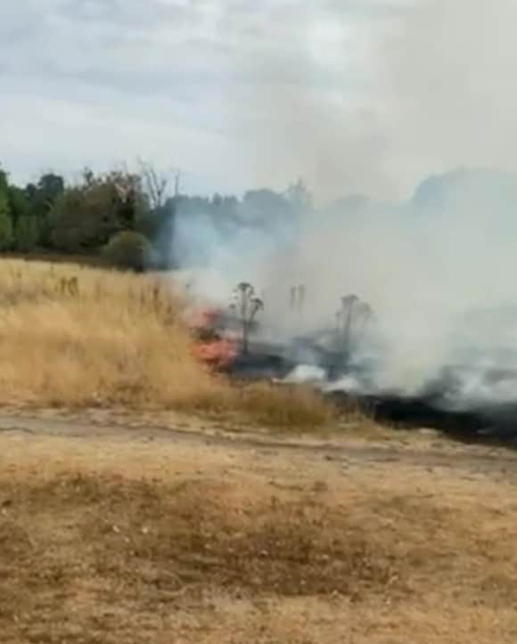 Video grab of grass fire in Wanstead Flats, Newham. Credit: SWNS