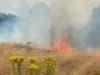 Met Office heat alert: London firefighters issue weather warning as grass fires increase by 700% on 2021