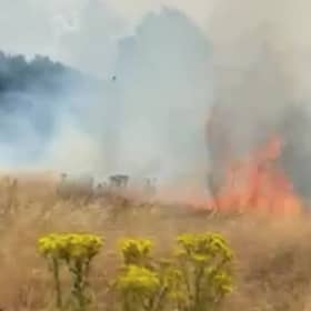 Around 25 firefighters tackled a grass fire the size of around two football pitches in Wanstead Flats. Credit: SWNS