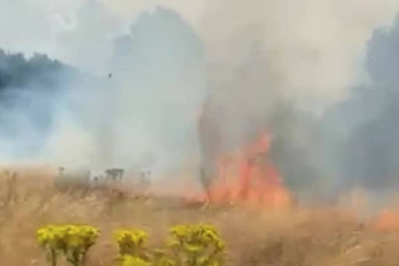 Around 25 firefighters tackled a grass fire the size of around two football pitches in Wanstead Flats. Credit: SWNS