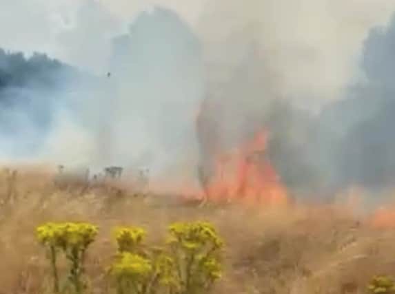 Around 25 firefighters tackled a grass fire the size of around two football pitches in Wanstead Flats. Credit: SWNS