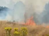 Around 25 firefighters tackled a grass fire the size of around two football pitches in Wanstead Flats. Credit: SWNS