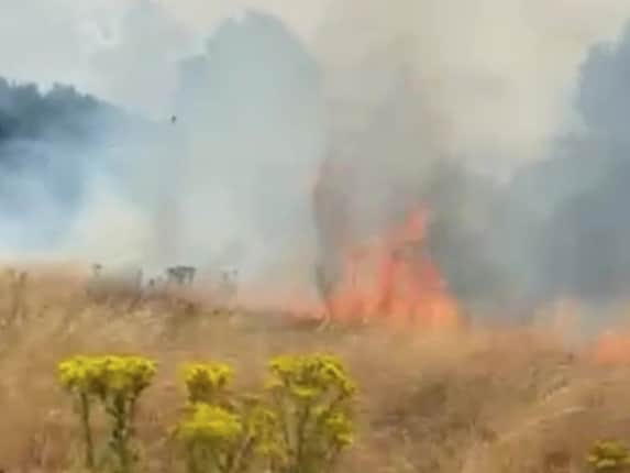 Around 25 firefighters tackled a grass fire the size of around two football pitches in Wanstead Flats. Credit: SWNS