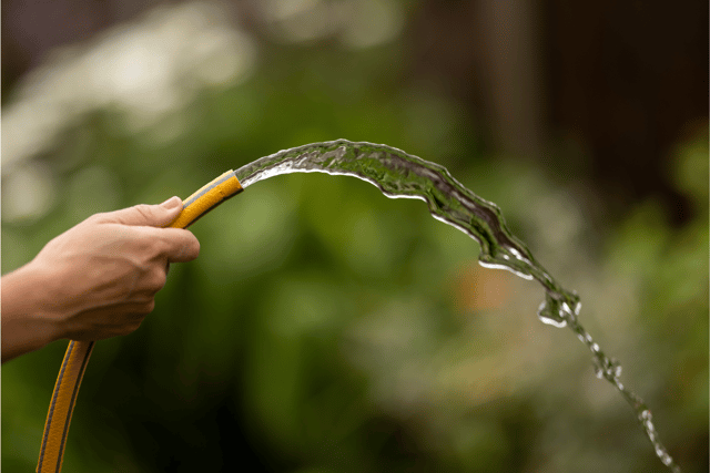Hosepipe bans are in place across Britain and the Isle of Man