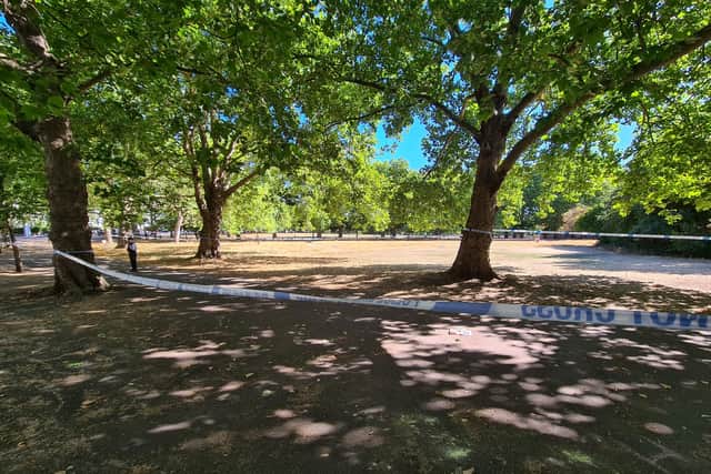 One onlooker said there was a gang event at Highbury Fields before the stabbing. Credit: SWNS
