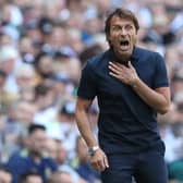 Antonio Conte, Tottenham Hotspur manager during the Premier League match  (Photo by Henry Browne/Getty Images)