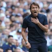 Antonio Conte, Tottenham Hotspur manager during the Premier League match  (Photo by Henry Browne/Getty Images)