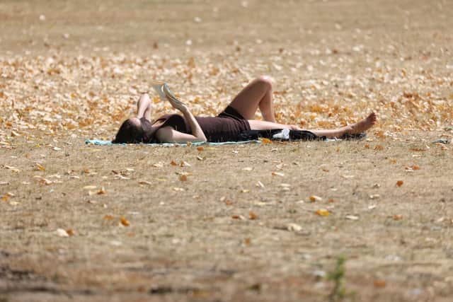 Victoria Park has turned to dust during the drought. Credit: Hollie Adams/Getty Images